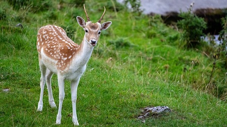 轻断食、喝苹果醋、吃含丙醇二酸食物……暴食后用这些方法补救不靠谱